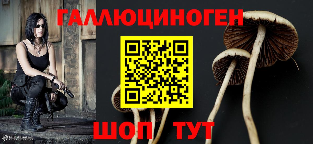 Щёлково  Галлюциногенные грибы Cubensis  Галлюциногенные грибы GOLDEN TEACHER  Вход с VPN 